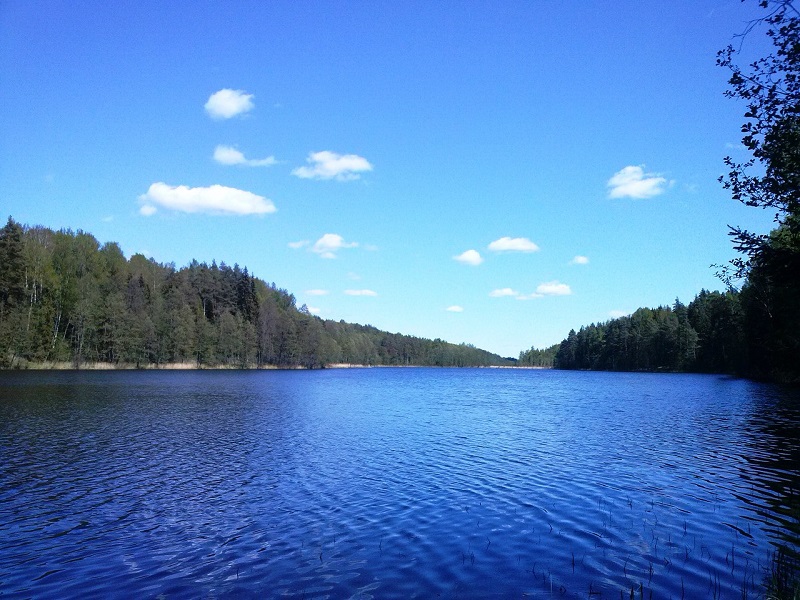 1 водоемы