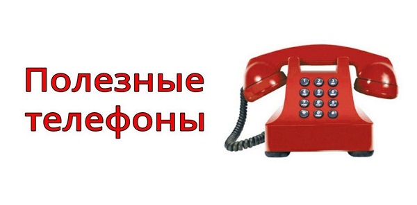 b2ap3 large -