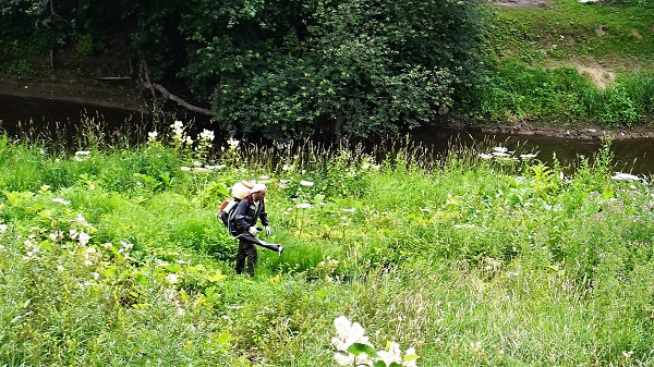borchevik 2