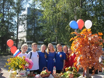 den flaga VMR