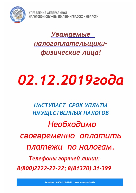 nalogy 2019