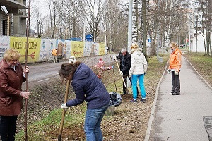 subbotnik 2016