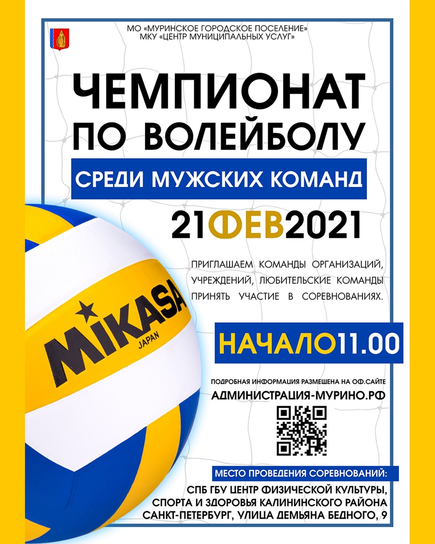 voleibol